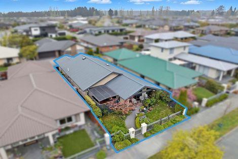 Photo of property in 85 Pegasus Boulevard, Pegasus, 7612