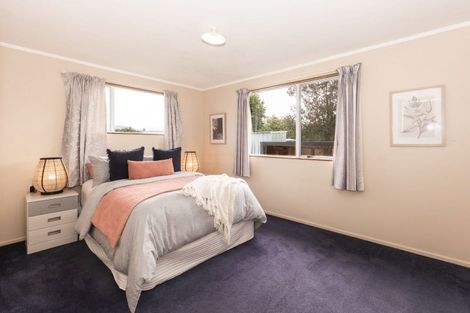 Photo of property in 43 Ferry Road, Spring Creek, 7202