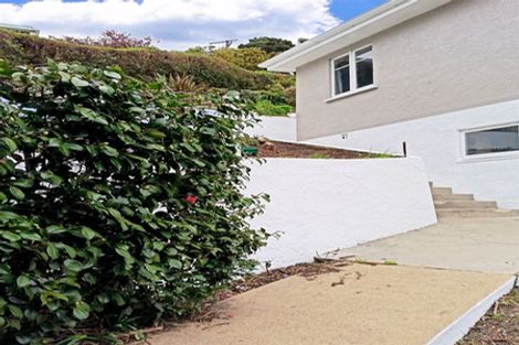 Photo of property in 60 Glen Road, Mornington, Dunedin, 9011