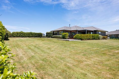 Photo of property in 115 Mount Taylor Drive, Feilding, 4775