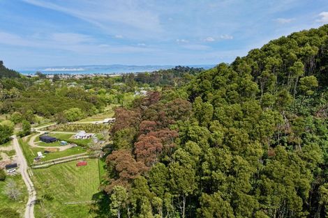 Photo of property in 58a Dryden Street, Whataupoko, Gisborne, 4010