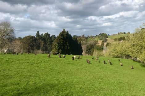 Photo of property in 115 Glenmore Road, Coatesville, Albany, 0793