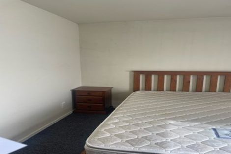 Photo of property in 101 Elizabeth Street, Riccarton, Christchurch, 8041