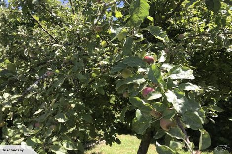 Photo of property in 335 Clyde Road, Bryndwr, Christchurch, 8053