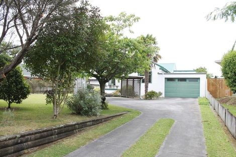 Photo of property in 37 Clothier Street, Putaruru, 3411