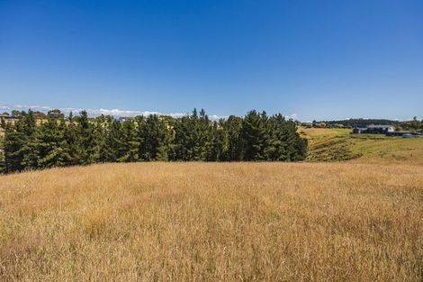 Photo of property in 45 Macs Ridge Road, Oamaru North, Oamaru, 9492