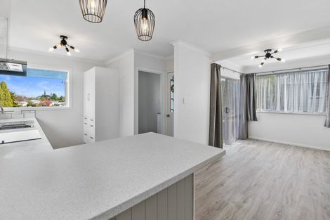 Photo of property in 246 Balmoral Drive, Tokoroa, 3420