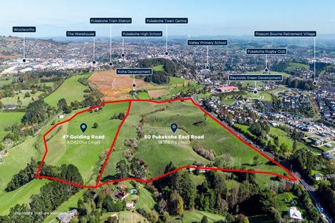 Photo of property in 50 Pukekohe East Road, Pukekohe, 2677