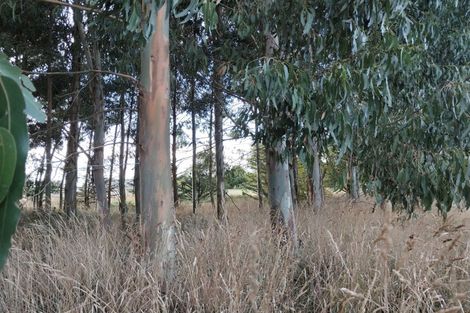 Photo of property in 13 Edievale Road, Edievale, Tapanui, 9587