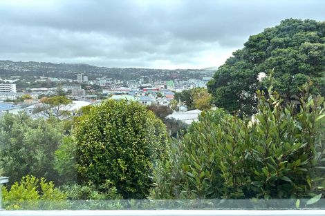 Photo of property in 17 Scarborough Terrace, Mount Victoria, Wellington, 6011