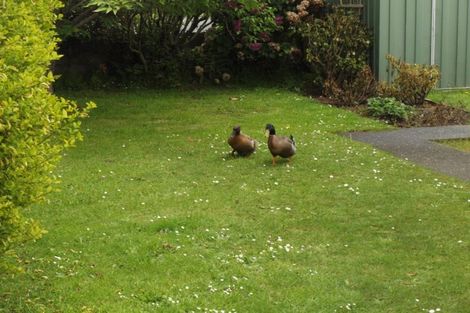 Photo of property in 190 Ettrick Street, Appleby, Invercargill, 9812