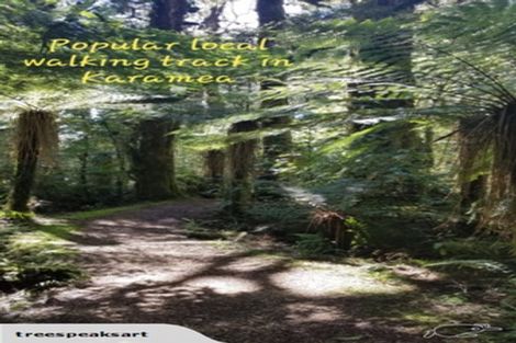 Photo of property in 242 Arapito Road, Karamea, 7893