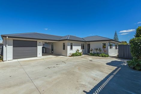 Photo of property in 29a Ferguson Street, Awapuni, Palmerston North, 4412