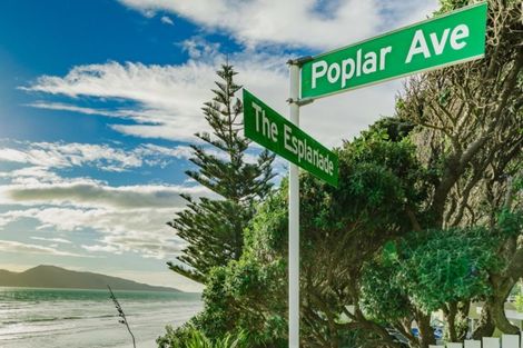 Photo of property in 10-10a Poplar Avenue, Raumati South, Paraparaumu, 5032