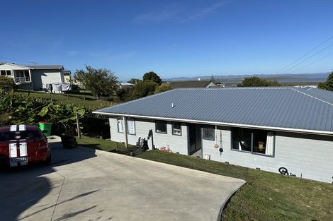 Photo of property in 107 Danby Street, Thames, 3500