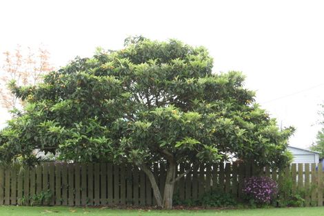 Photo of property in 55 Union Street, Opotiki, 3122