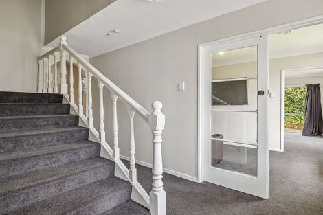 Photo of property in 17a Buccleugh Street, North East Valley, Dunedin, 9010