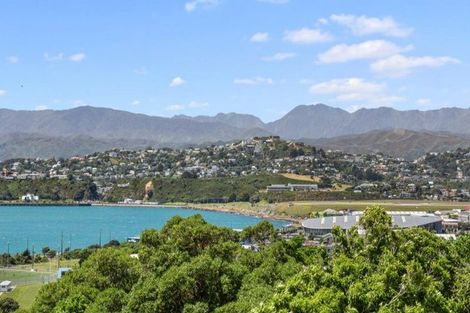 Photo of property in 25 Colville Street, Newtown, Wellington, 6021