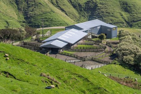 Photo of property in 425 Daggs Road, Bideford, Masterton, 5882