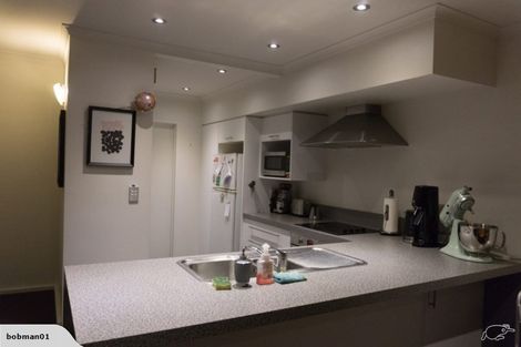 Photo of property in 1a Charlemont Street, Whitiora, Hamilton, 3200