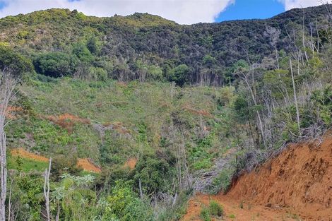 Photo of property in 6133 State Highway 1, Kaitaia, 0481