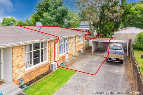 Photo of property in 141c Galloway Street, Hamilton East, Hamilton, 3216