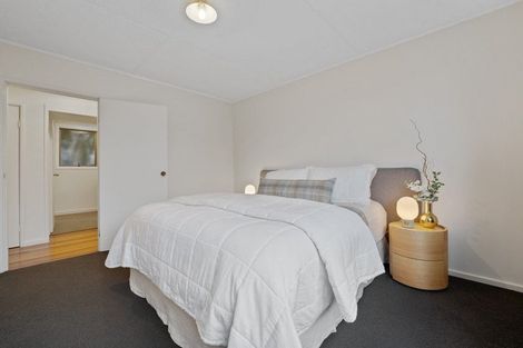 Photo of property in 23 Tripoli Road, Panmure, Auckland, 1072