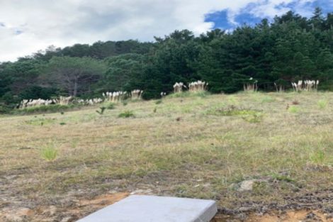 Photo of property in 32 Panorama Parade, Pauanui, Hikuai, 3579