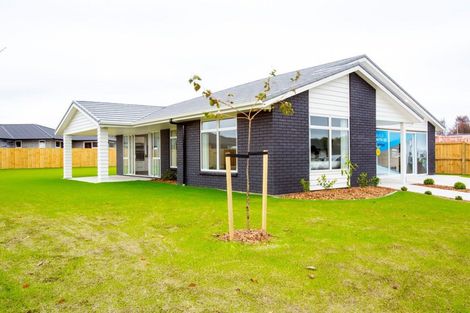 Photo of property in 16 Richardson Road, Matamata, 3400