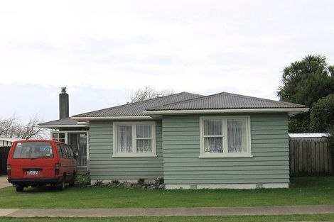 Photo of property in 12 Collingwood Street, Levin, 5510