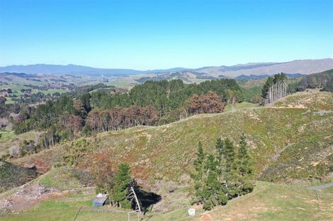 Photo of property in 128c Otonga Valley Road, Raglan, 3295