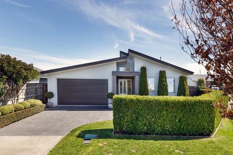 Photo of property in 4 Lancaster Avenue, Burleigh, Blenheim, 7201