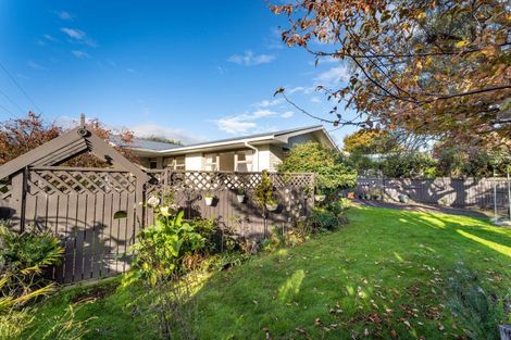 Photo of property in 38 Adams Lane, Springlands, Blenheim, 7201