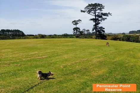 Photo of property in 32 Secoia Crescent, Mangere, Auckland, 2022