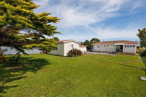 Photo of property in 39 Alexandra Street, Marton, 4710