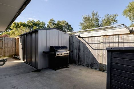 Photo of property in 33 Monarch Drive, Ashhurst, 4810