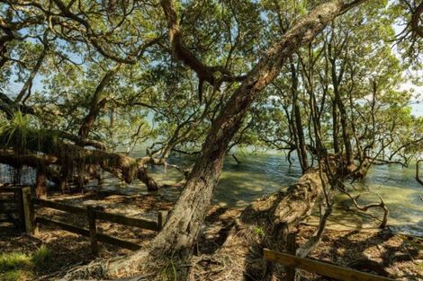 Photo of property in 331 Pahoia Road, Whakamarama, 3172