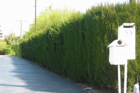 Photo of property in 53 Dillon Street, Blenheim, 7201