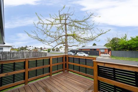 Photo of property in 12 Rimu Street, Levin, 5510