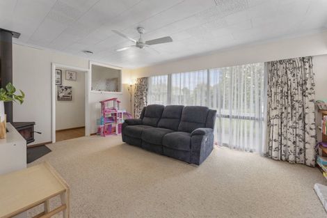 Photo of property in 29 Burn Street, Levin, 5510
