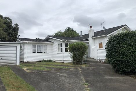 Photo of property in 17 Devon Street, Levin, 5510