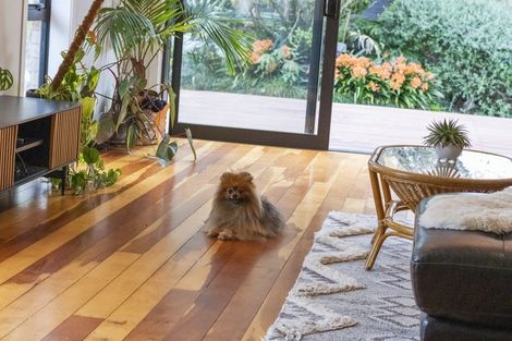 Photo of property in 16 George Street, Morrinsville, 3300