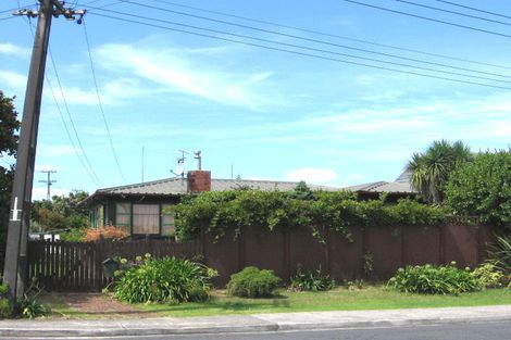 Photo of property in 2a Rogan Street, Mount Roskill, Auckland, 1041