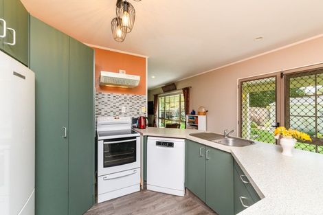 Photo of property in 185 Oxford Street, Ashhurst, 4810