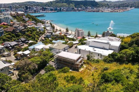 Photo of property in 16 Telford Terrace, Oriental Bay, Wellington, 6011