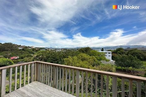 Photo of property in 28 Spottiswoode Street, Andersons Bay, Dunedin, 9013