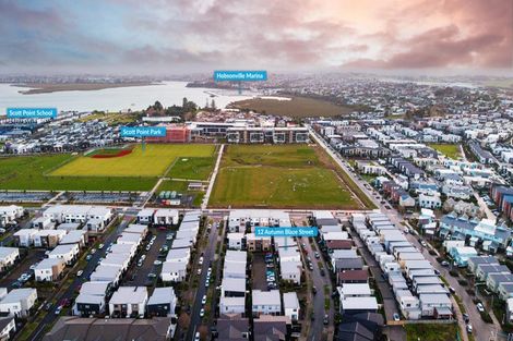 Photo of property in 12 Autumn Blaze Street, Hobsonville, Auckland, 0616