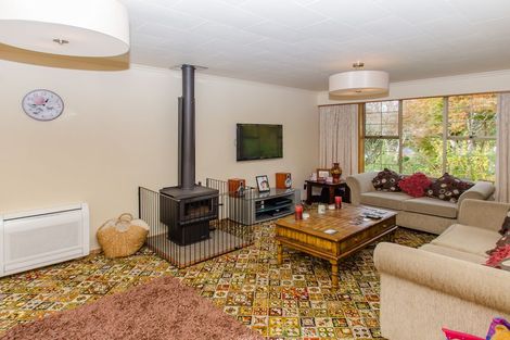 Photo of property in 383 Malvern Street, Glenleith, Dunedin, 9010