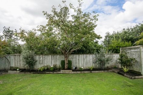 Photo of property in 19 Bucksburn Place, Greenmeadows, Napier, 4112