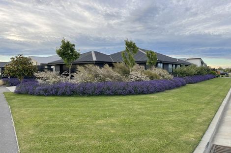 Photo of property in 18 Merino Street, Marshland, Christchurch, 8083